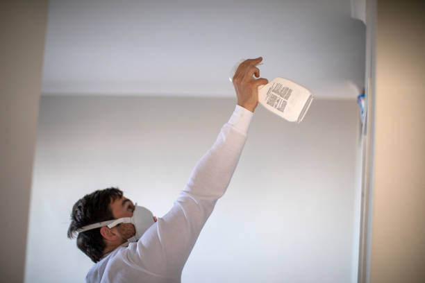 Best Residential Mold Remediation in Westerville, OH