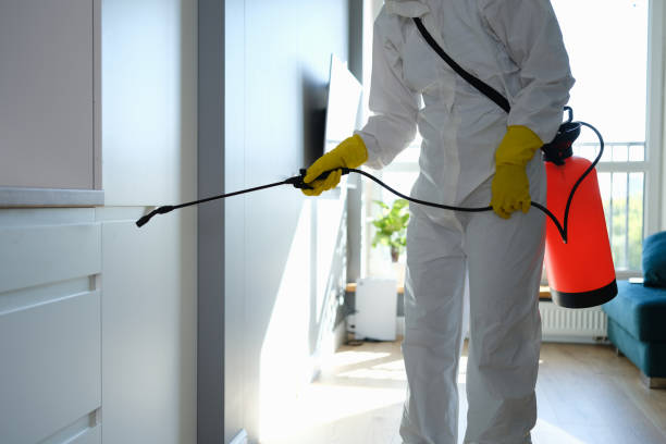 Best Health and Safety Mold Remediation in Westerville, OH