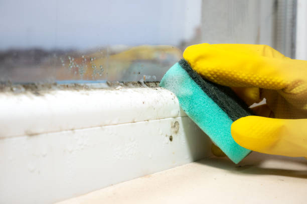 Best Industrial Mold Remediation in Westerville, OH